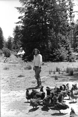 Allen and Chickens at#0014